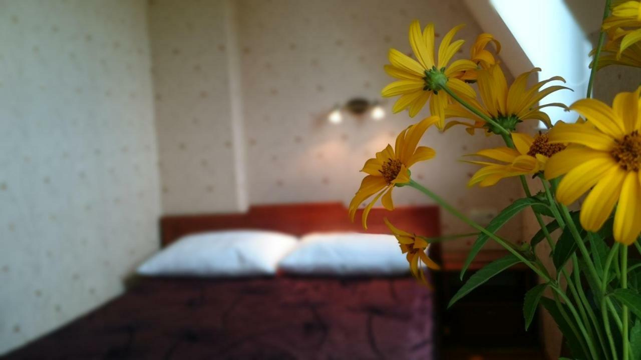 Villa Gracja Łeba Dış mekan fotoğraf
