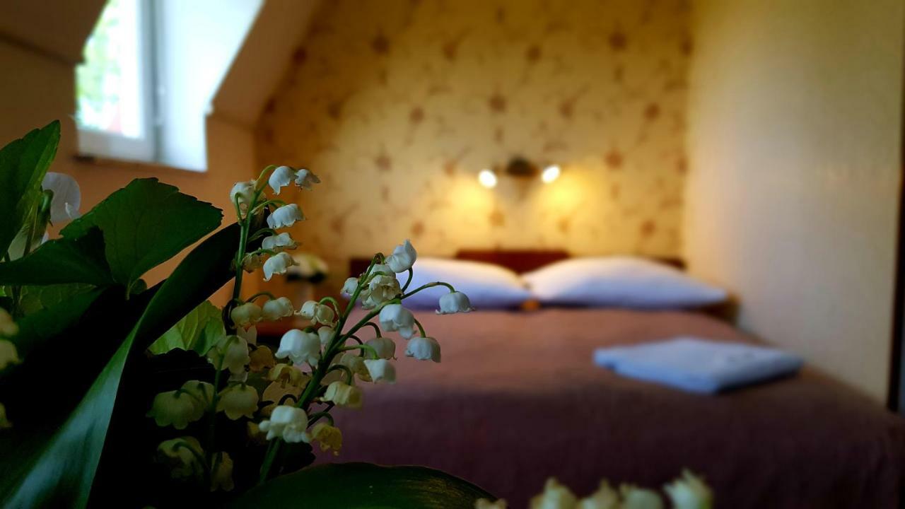 Villa Gracja Łeba Dış mekan fotoğraf